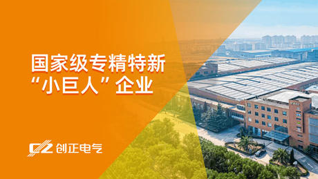 喜报 | PA视讯电气荣获国家级专精特新“小巨人”企业荣誉称号